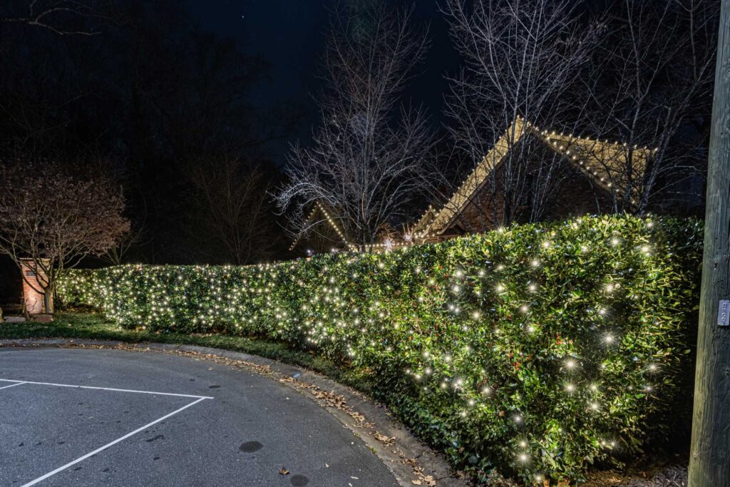 Custom Christmas Lights Designed for Your Property